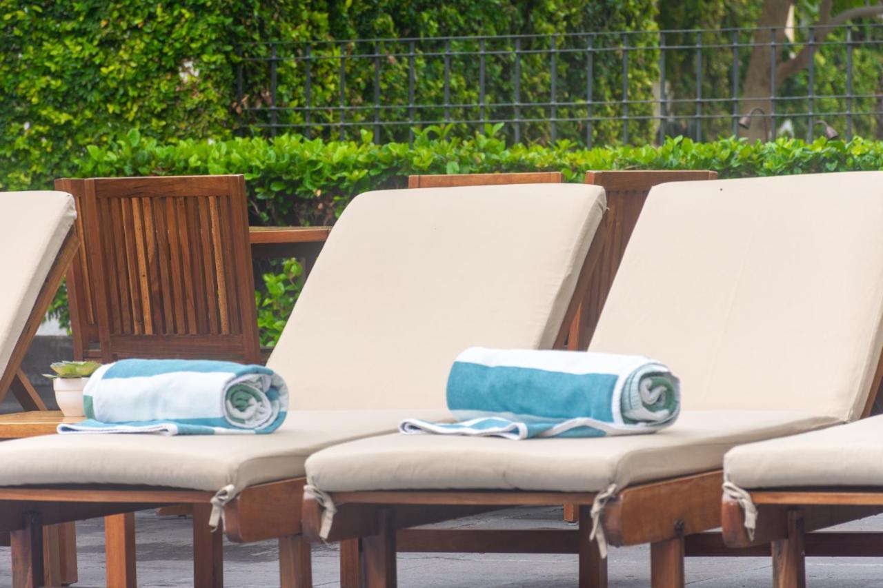 Hotel Flamingo Inn Querétaro Zewnętrze zdjęcie