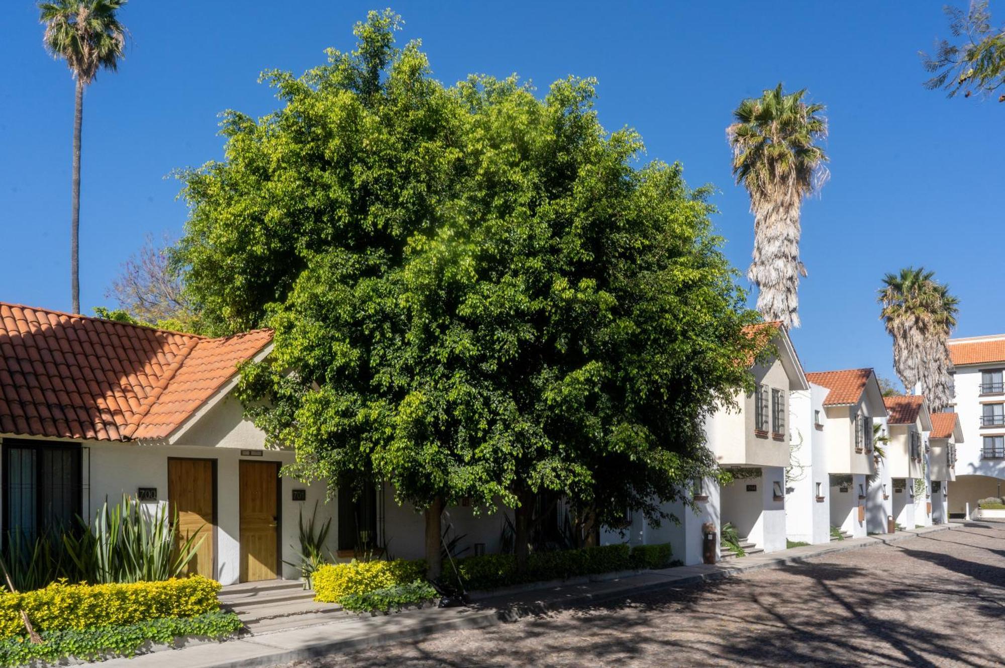 Hotel Flamingo Inn Querétaro Zewnętrze zdjęcie